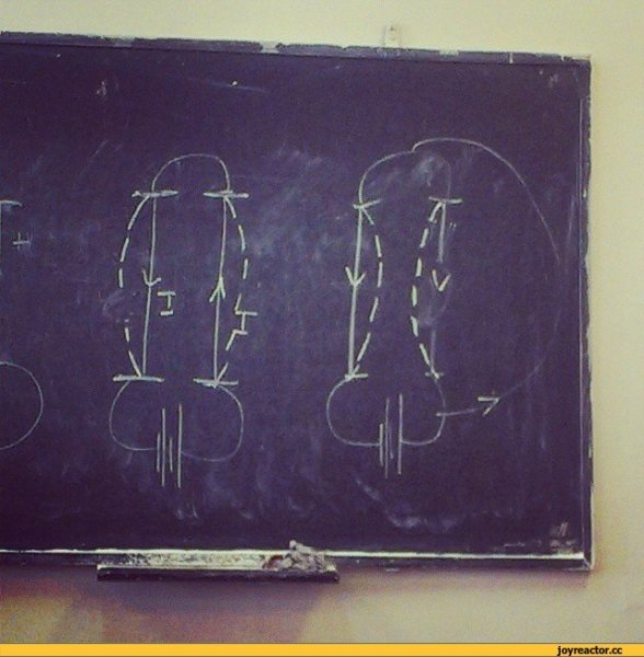 Член мелом на доске