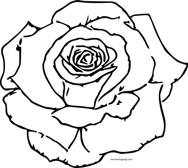 Контур розы для раскрашивания