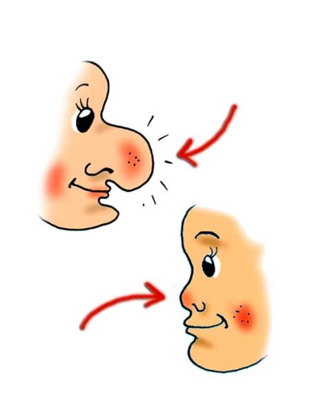 Большой и маленький нос