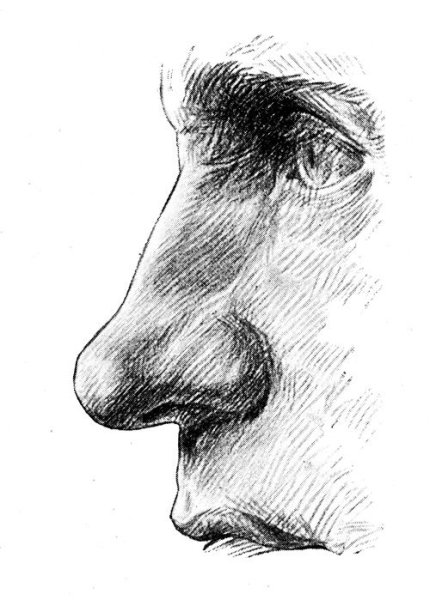 Зарисовки носа