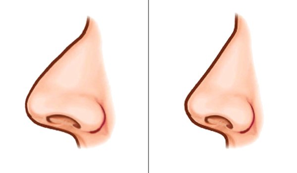 Нос на белом фоне