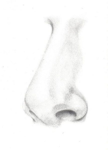 Рисование носа в иллюстраторе