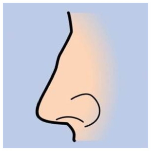 Референс Носов с горбинкой