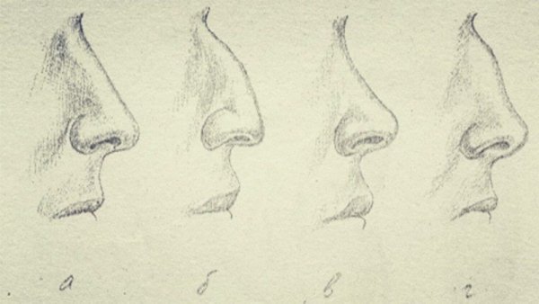 Формы Носов