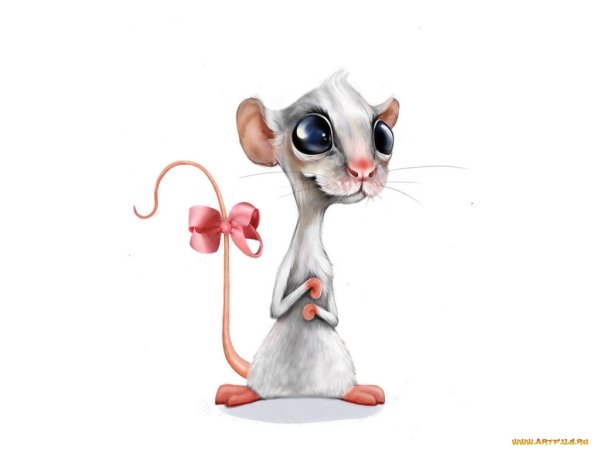 Крысы Рисованные прикольные