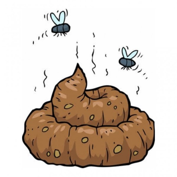 Рисунок какашки