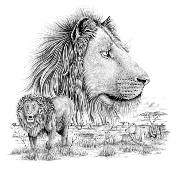 Раскраска Король Лев Симба взрослый