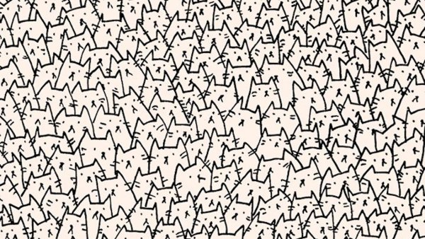 Много котиков фон