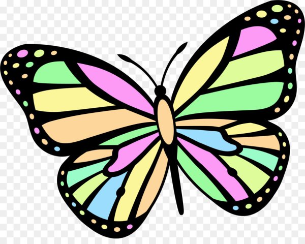 Бабочка рисунок