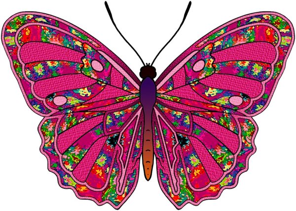 Разноцветные бабочки