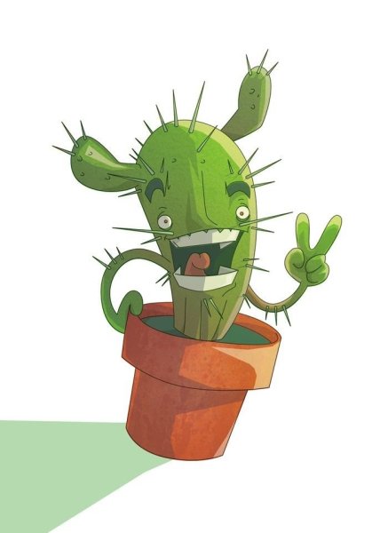 Смешной Кактус