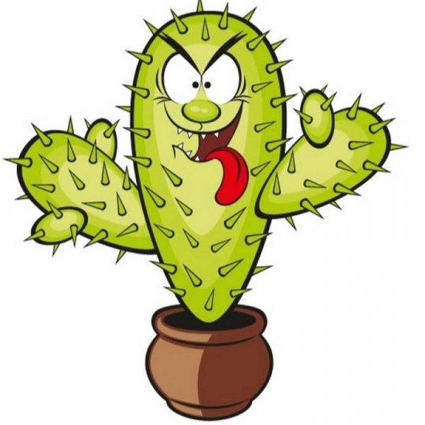 Кактус с глазами рисунок