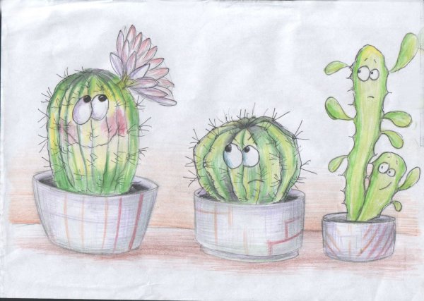 Кактус карандашом