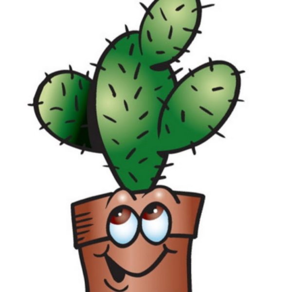 Колючка школа