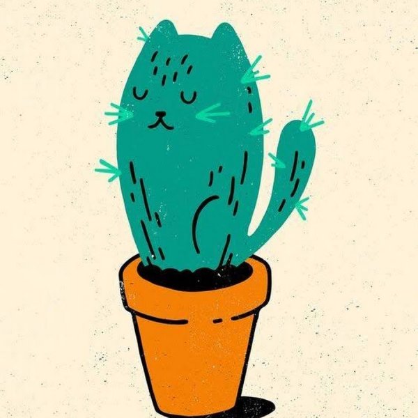 Картинки кактуса для срисовки