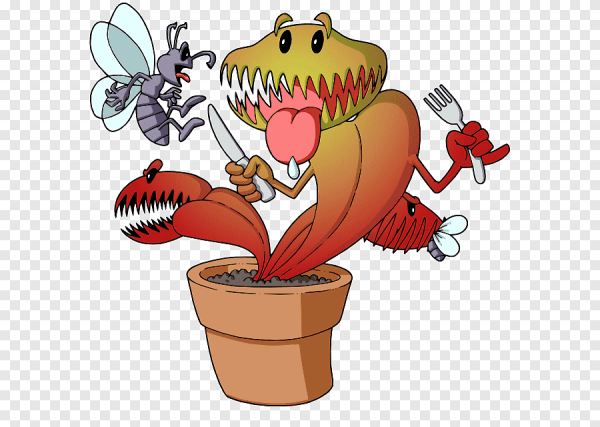 Венерина мухоловка арт