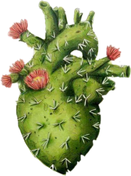 Кактус в виде сердца