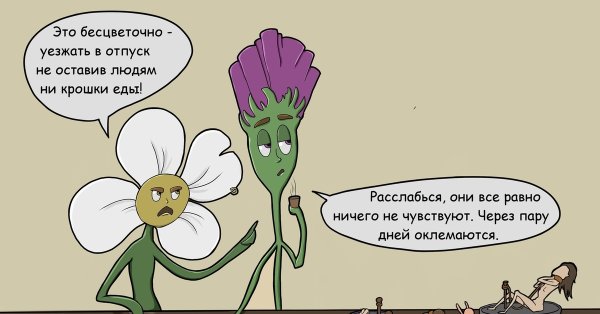 Приколы про растения