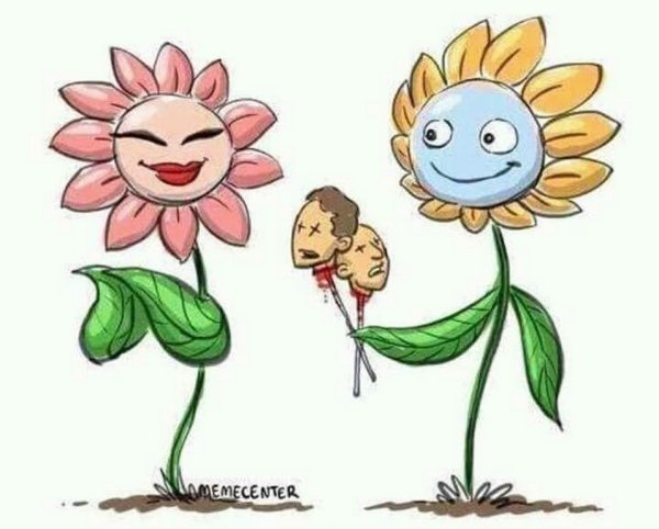 Карикатуры цветов