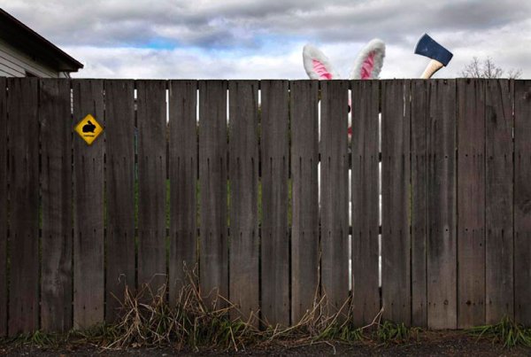 Забор прикол