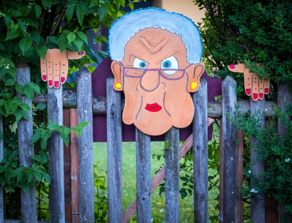 Раскрашенный забор