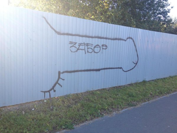 Прикольные надписи на заборе