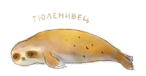 Ленивая тюленька