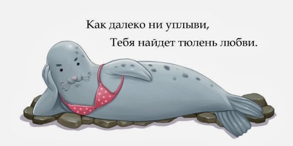 Тюлень шутки