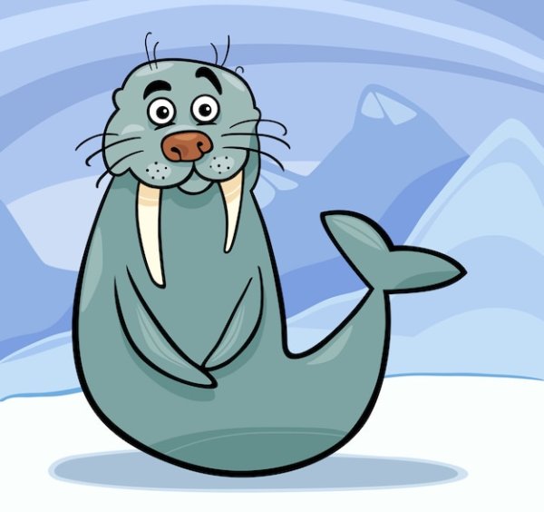 Веселый морж