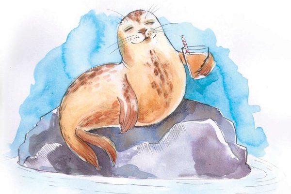 Морской котик акварель