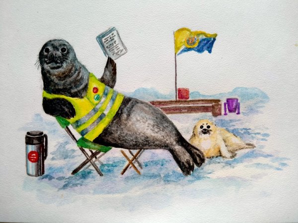 Картина с тюленям и нерпой