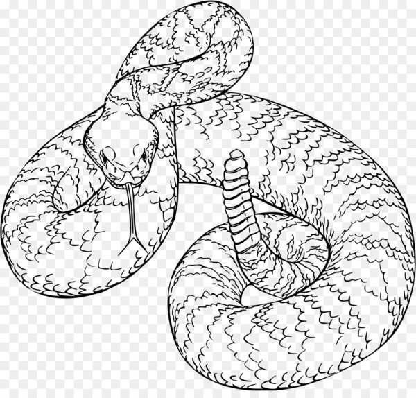 Змея Анаконда пресмыкающиеся