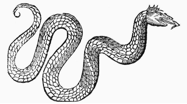 Змея раскраска