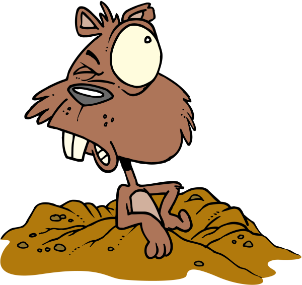 Бобр мультяшный смешной