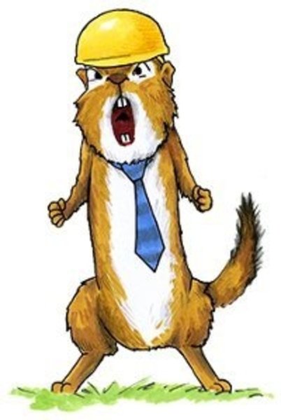 Суслик агроном