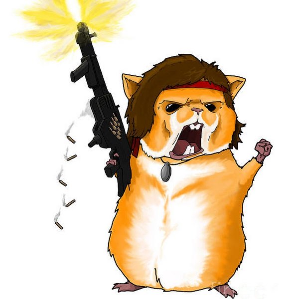 Хомяк с калашом