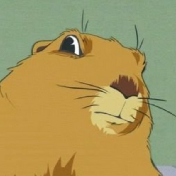 Суслик Южный парк