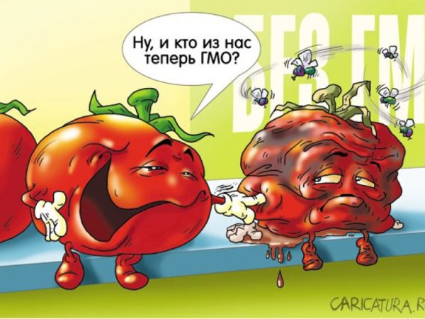 Помидор карикатура