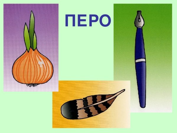 Многозначность слов для дошкольников