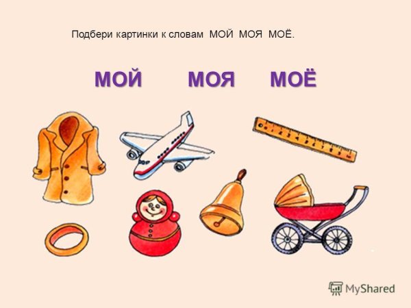 Задание по родам для дошкольников