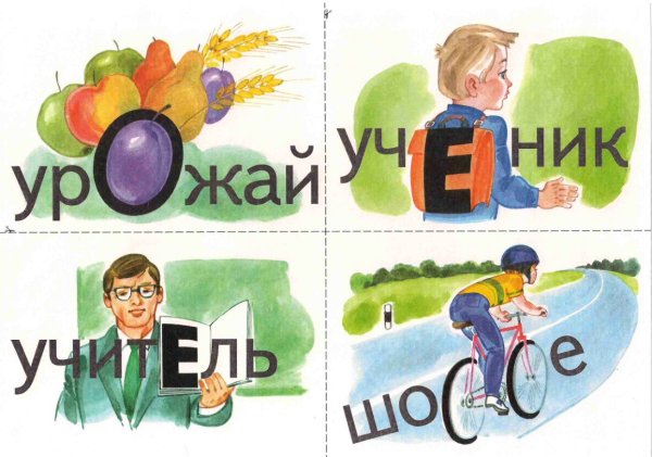 Словарные Сова в картинках