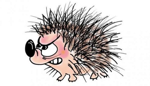 Недовольный Ежик