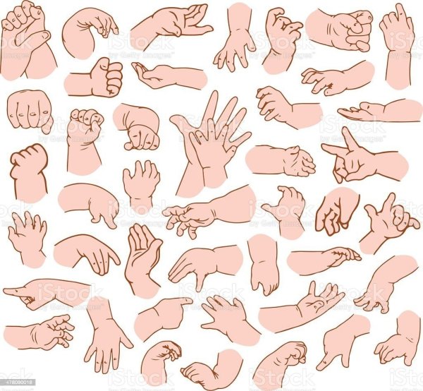 Анатомия согнутая рука