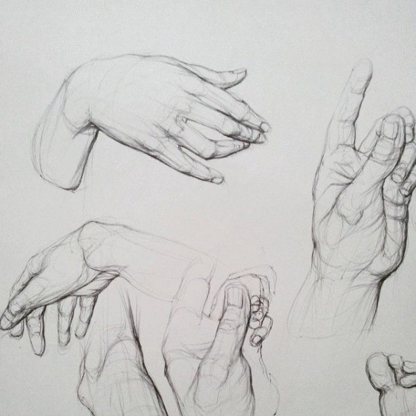 Нарисовать раскрытые ладони