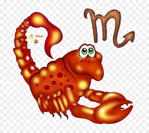 Прикольный Скорпион