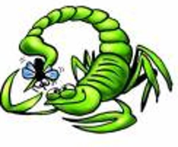 Скорпион весёлый