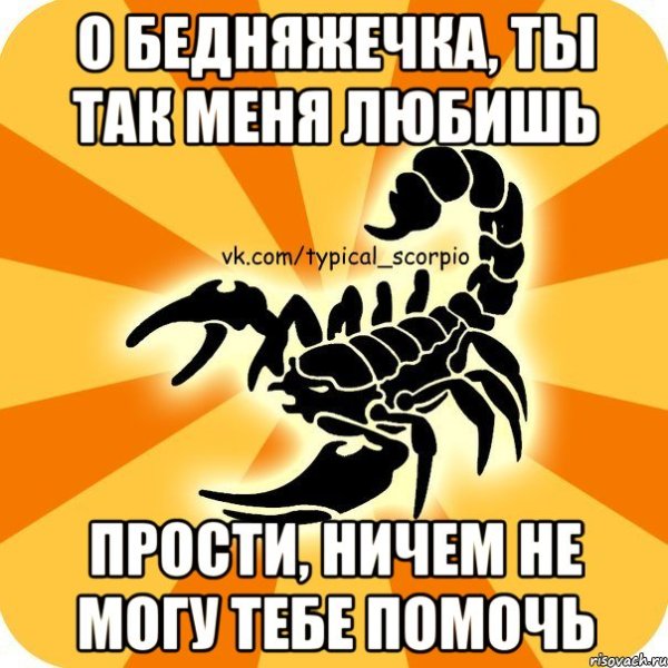 Мемы про скорпионов