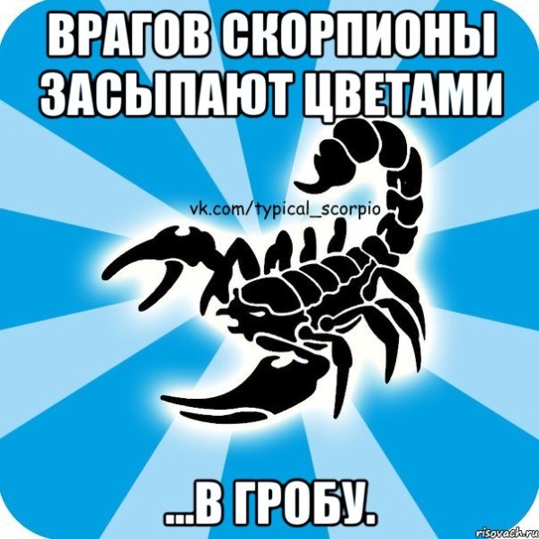 Смешной Скорпион