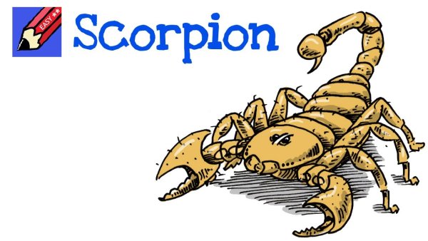 Скорпион прикольные картинки