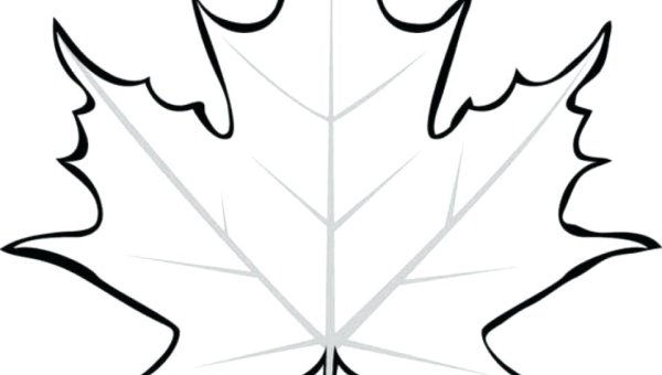 Лист клёна рисунок